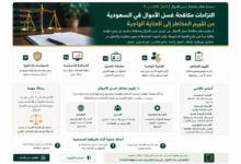 التزامات مكافحة غسل الأموال في السعودية | دليل المنشآت