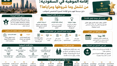 الإقامة المميزة للمواهب